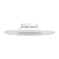 CTLX-27536-.png