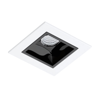 p.focal-4470.png